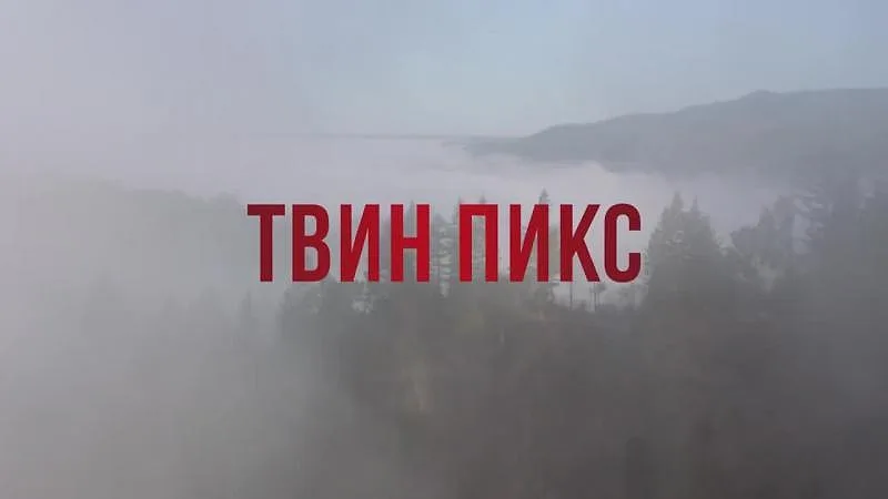 Горизонтальный кадр из проекта «Твин Пикс»